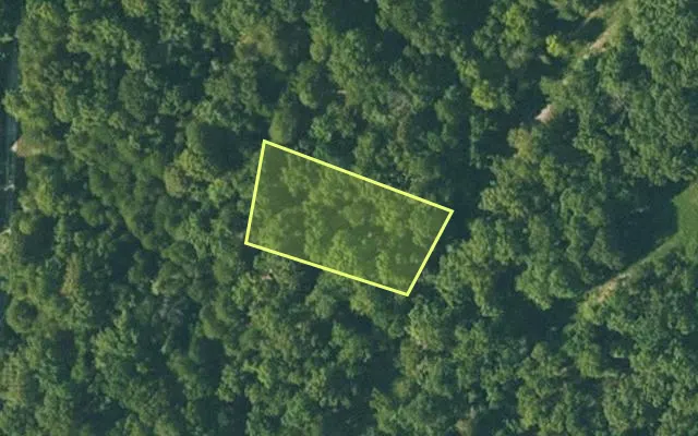 Aerial view of FULTON County parcel 160-12431-000 — Arkansas post-auction with approximate parcel outline