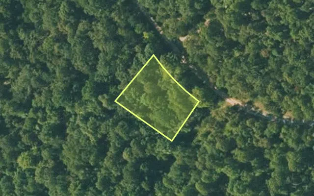 Aerial view of FULTON County parcel 365-20039-000 — Arkansas post-auction with approximate parcel outline