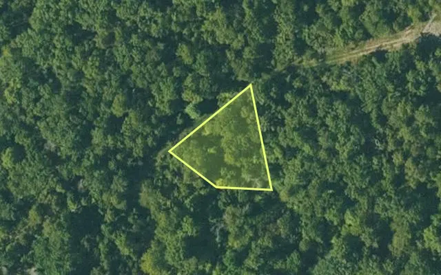 Aerial view of FULTON County parcel 290-17130-000 — Arkansas post-auction with approximate parcel outline