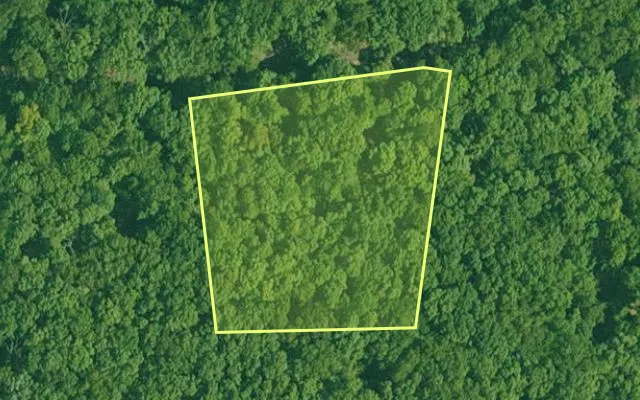 Aerial view of GARLAND County parcel 66189 — Arkansas post-auction with approximate parcel outline
