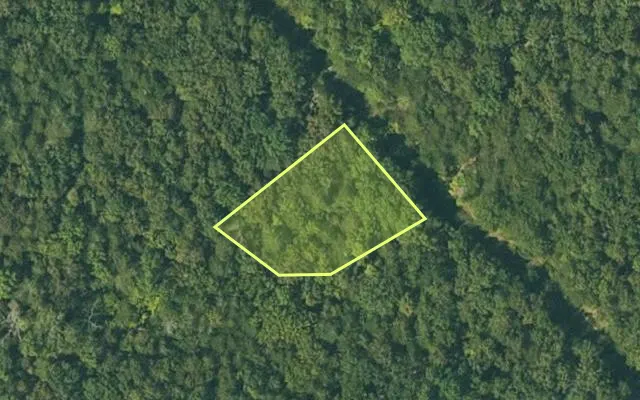 Aerial view of FULTON County parcel 335-18618-000 — Arkansas post-auction with approximate parcel outline