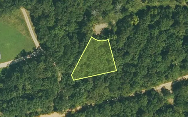 Aerial view of FULTON County parcel 390-20931-000 — Arkansas post-auction with approximate parcel outline