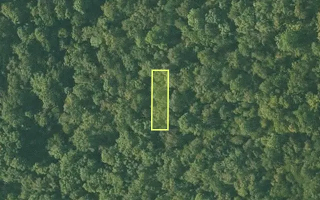 Aerial view of SHARP County parcel 400-00237-000 — Arkansas post-auction with approximate parcel outline