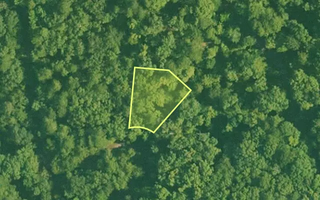 Aerial view of SALINE County parcel 672-00130-000 — Arkansas post-auction with approximate parcel outline