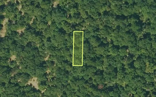 Aerial view of IZARD County parcel 800-06164-000 — Arkansas post-auction with approximate parcel outline
