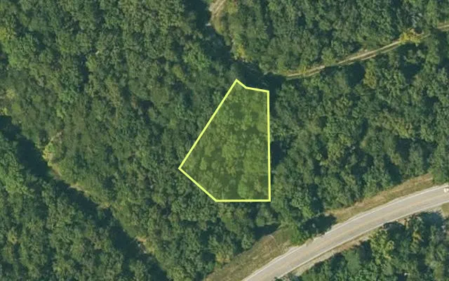 Aerial view of FULTON County parcel 335-18638-000 — Arkansas post-auction with approximate parcel outline