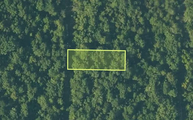 Aerial view of FULTON County parcel 688-25674-000 — Arkansas post-auction with approximate parcel outline