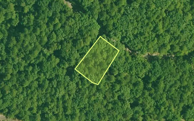 Aerial view of GARLAND County parcel 66000 — Arkansas post-auction with approximate parcel outline