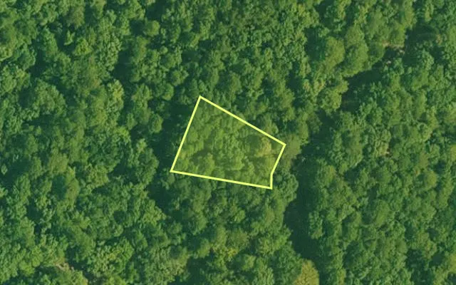 Aerial view of GARLAND County parcel 59927 — Arkansas post-auction with approximate parcel outline