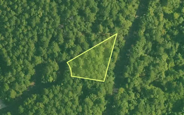 Aerial view of SALINE County parcel 420-00096-000 — Arkansas post-auction with approximate parcel outline