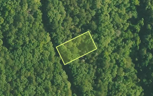 Aerial view of VAN BUREN County parcel 4500-02533-0000 — Arkansas post-auction with approximate parcel outline