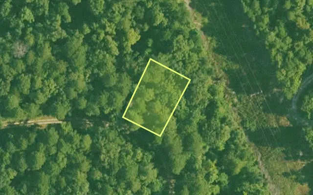 Aerial view of GARLAND County parcel 58488 — Arkansas post-auction with approximate parcel outline