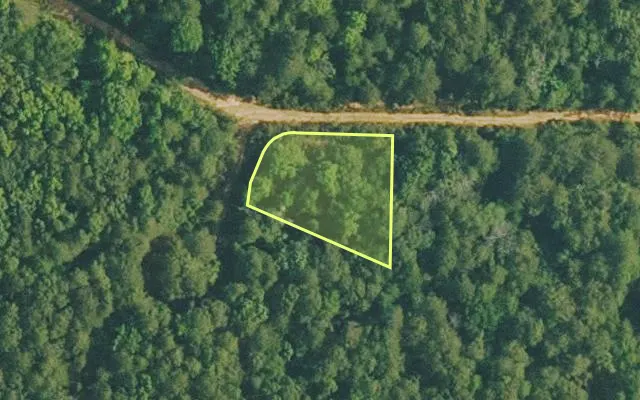Aerial view of VAN BUREN County parcel 4200-01103-0000 — Arkansas post-auction with approximate parcel outline