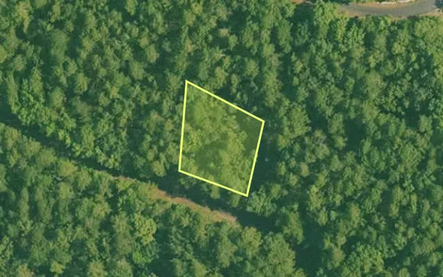 Aerial view of SALINE County parcel 496-00103-000 — Arkansas post-auction with approximate parcel outline