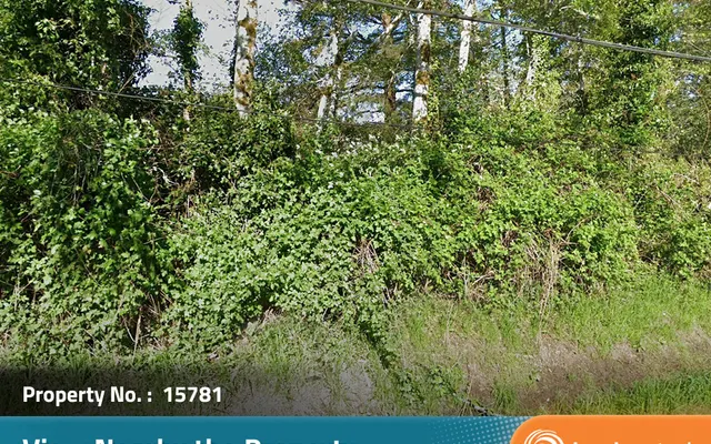 LandCentral listing preview for 0.13 acres in Grays Harbor, WA — 15781