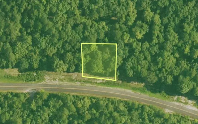 Aerial view of SALINE County parcel 492-00019-000 — Arkansas post-auction with approximate parcel outline