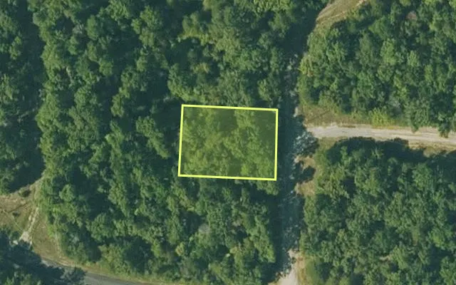 Aerial view of FULTON County parcel 290-17123-000 — Arkansas post-auction with approximate parcel outline