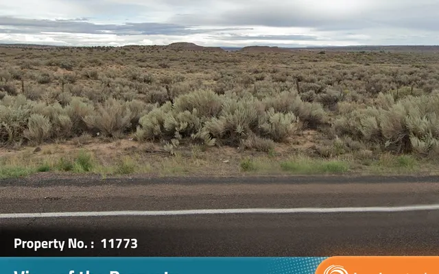 LandCentral listing preview for 2 acres in Apache, AZ — 11773