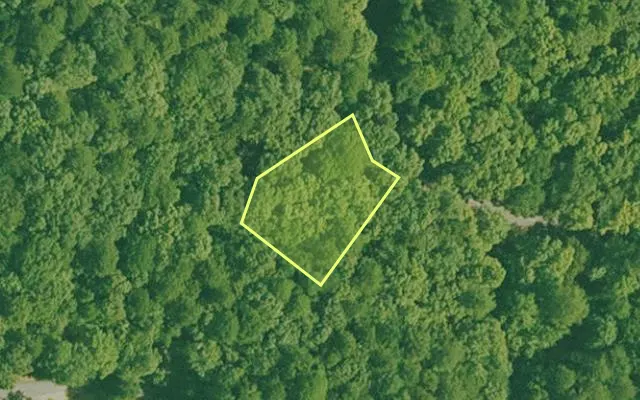 Aerial view of GARLAND County parcel 74811 — Arkansas post-auction with approximate parcel outline