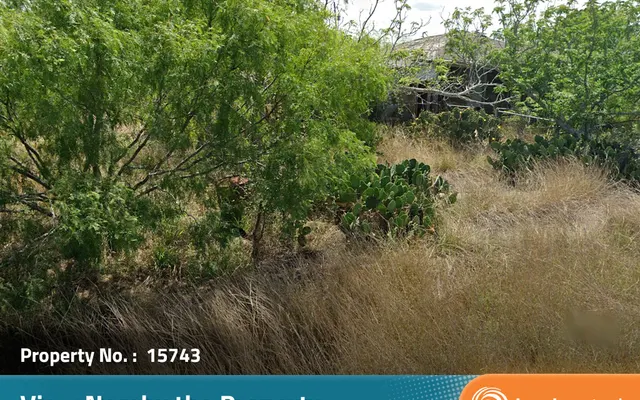 LandCentral listing preview for 0.21 acres in Nueces, TX — 15743