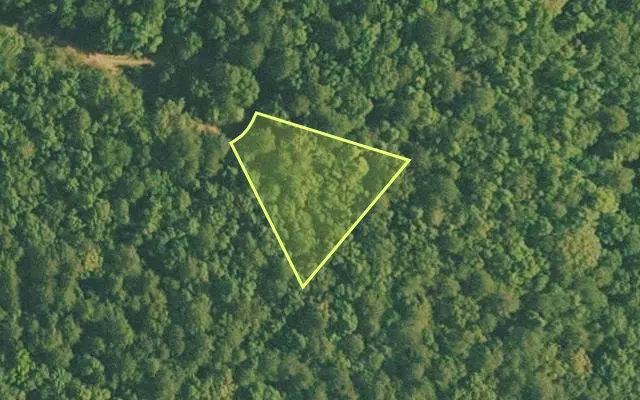 Aerial view of VAN BUREN County parcel 4500-01107-0000 — Arkansas post-auction with approximate parcel outline