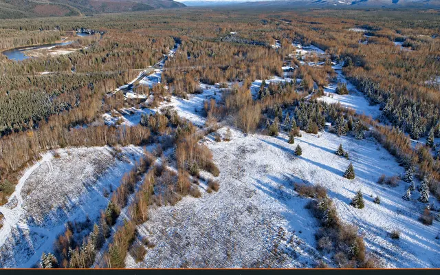 LandCentral listing preview for 1.32 acres in Fairbanks North Star, AK — 15773