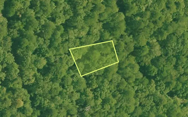 Aerial view of GARLAND County parcel 74310 — Arkansas post-auction with approximate parcel outline