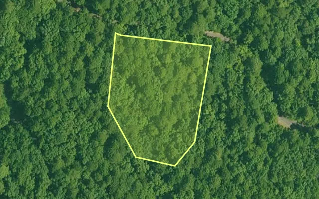 Aerial view of GARLAND County parcel 73332 — Arkansas post-auction with approximate parcel outline