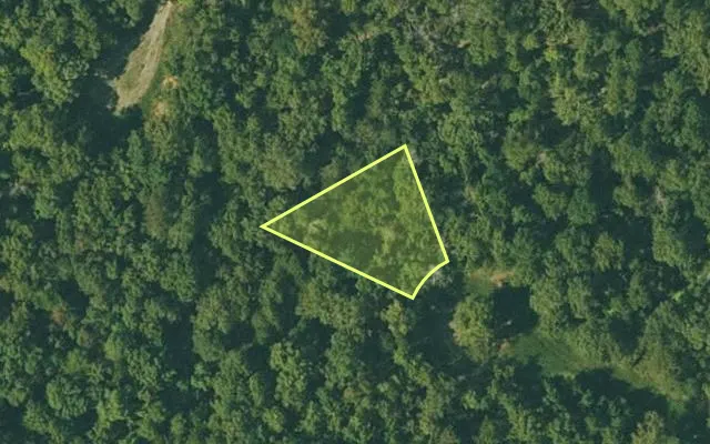Aerial view of FULTON County parcel 175-12952-000 — Arkansas post-auction with approximate parcel outline