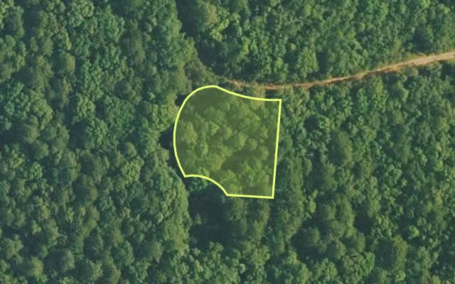 Aerial view of VAN BUREN County parcel 4400-16182-0000 — Arkansas post-auction with approximate parcel outline