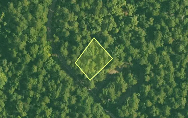 Aerial view of SALINE County parcel 448-00091-000 — Arkansas post-auction with approximate parcel outline