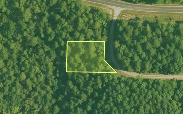 Aerial view of GARLAND County parcel 57974 — Arkansas post-auction with approximate parcel outline