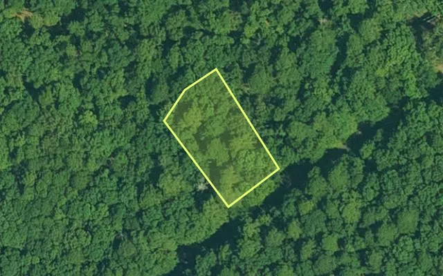 Aerial view of GARLAND County parcel 62487 — Arkansas post-auction with approximate parcel outline