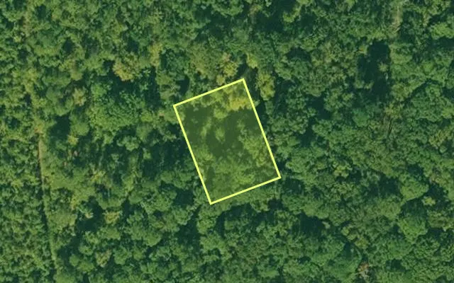 Aerial view of DALLAS County parcel 741-00132-000 — Arkansas post-auction with approximate parcel outline