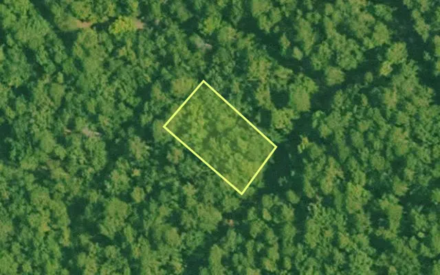 Aerial view of SALINE County parcel 544-00172-000 — Arkansas post-auction with approximate parcel outline