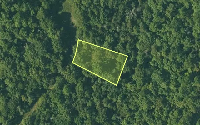Aerial view of FULTON County parcel 130-11283-000 — Arkansas post-auction with approximate parcel outline