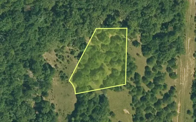 Aerial view of IZARD County parcel 800-05295-000 — Arkansas post-auction with approximate parcel outline