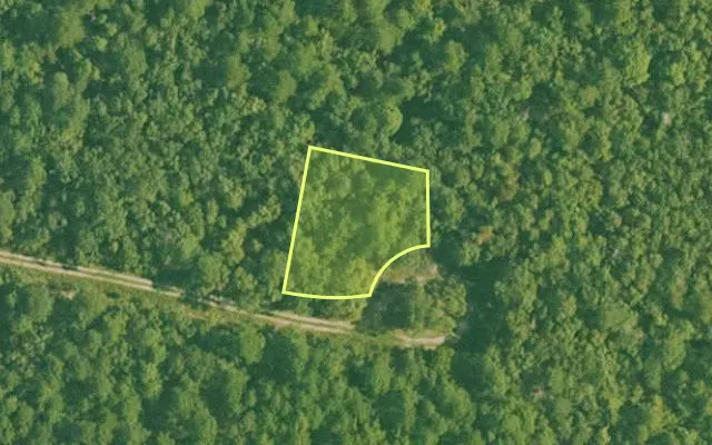Aerial view of SALINE County parcel 556-00081-000 — Arkansas post-auction with approximate parcel outline
