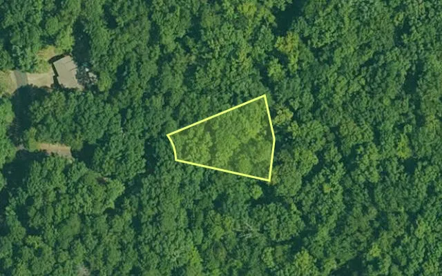 Aerial view of GARLAND County parcel 61895 — Arkansas post-auction with approximate parcel outline