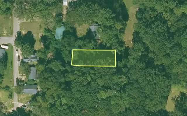 Aerial view of BRADLEY County parcel 732-00024-001 — Arkansas post-auction with approximate parcel outline