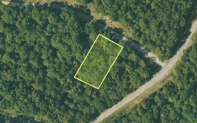 Aerial view of FULTON County parcel 115-10807-000 — Arkansas post-auction with approximate parcel outline