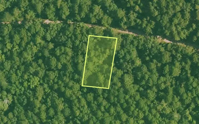 Aerial view of SALINE County parcel 624-00009-000 — Arkansas post-auction with approximate parcel outline