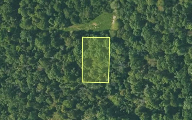 Aerial view of FULTON County parcel 365-20053-000 — Arkansas post-auction with approximate parcel outline