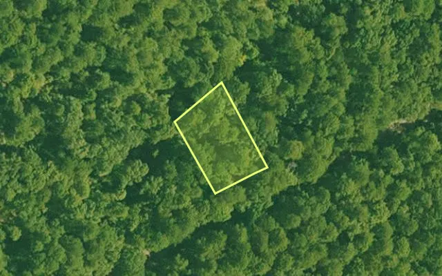 Aerial view of SALINE County parcel 440-00051-000 — Arkansas post-auction with approximate parcel outline