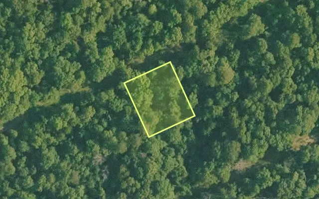 Aerial view of BAXTER County parcel 010-01811-000 — Arkansas post-auction with approximate parcel outline
