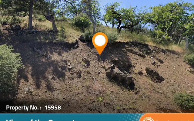 LandCentral listing preview for 1.03 acres in Siskiyou, CA — 15958