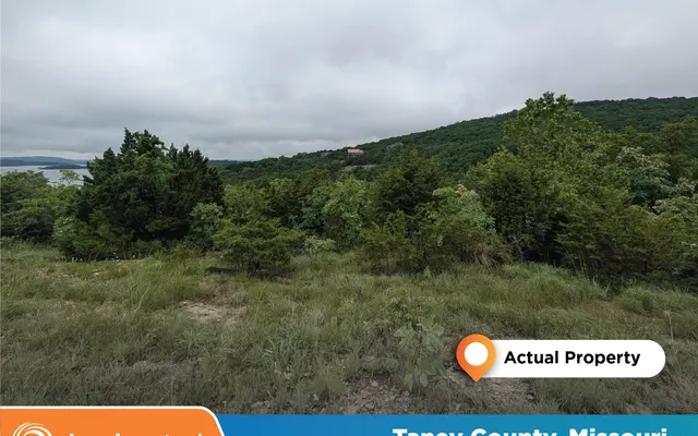 LandCentral listing preview for 0.51 acres in Taney, MO — 13465