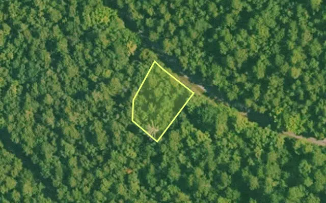 Aerial view of SALINE County parcel 644-00148-000 — Arkansas post-auction with approximate parcel outline
