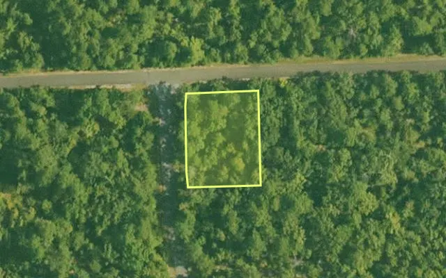 Aerial view of SALINE County parcel 604-00065-000 — Arkansas post-auction with approximate parcel outline