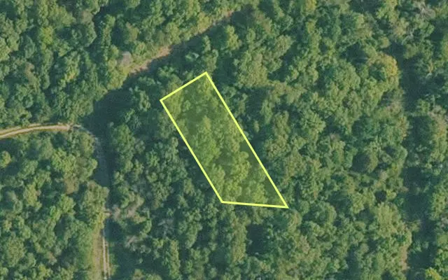 Aerial view of BAXTER County parcel 010-02224-000 — Arkansas post-auction with approximate parcel outline